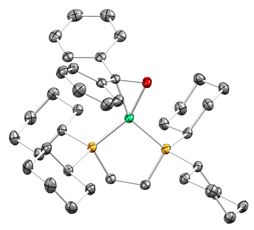 CataNiTek DCyPE Ni-1